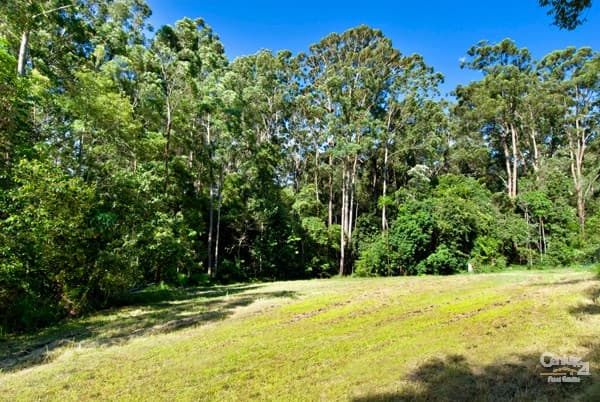 3 Secret Valley Court, Buderim, QLD, 4556, Buderim - Thumbnail 3