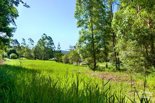 3 Secret Valley Court, Buderim, QLD, 4556, Buderim - Thumbnail 4