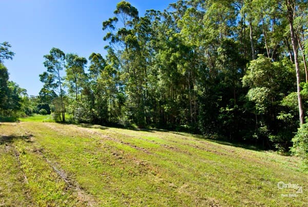 3 Secret Valley Court, Buderim, QLD, 4556, Buderim - Thumbnail 6