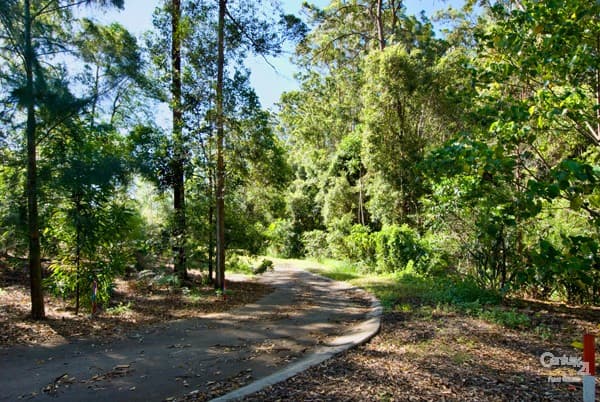 3 Secret Valley Court, Buderim, QLD, 4556, Buderim - Thumbnail 7