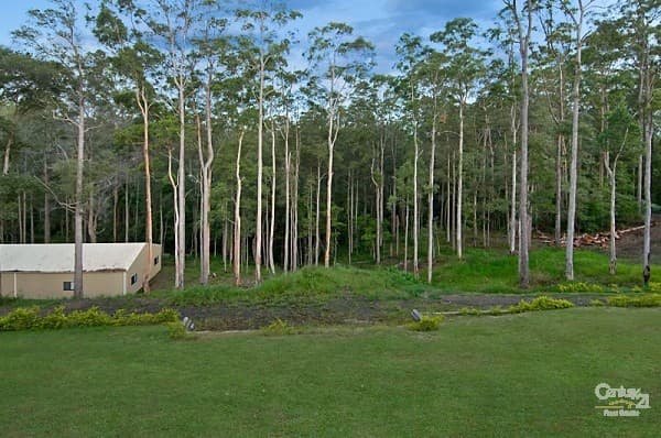 7 Anna Close, Buderim, QLD, 4556, Tanawha - Thumbnail 6