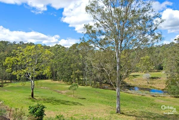 22 Valley View Rise, Mooloolah Valley, QLD, 4553, Mooloolah Valley - Thumbnail 3