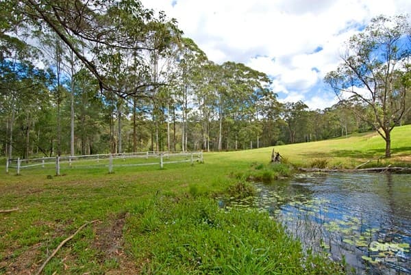 22 Valley View Rise, Mooloolah Valley, QLD, 4553, Mooloolah Valley - Thumbnail 7