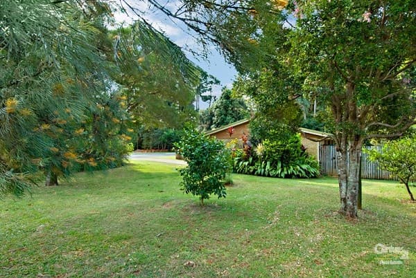 9 Pine Street, Buderim, QLD, 4556, Buderim - Thumbnail 2