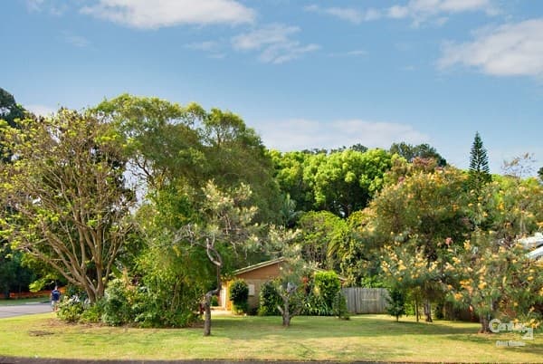9 Pine Street, Buderim, QLD, 4556, Buderim - Thumbnail 4