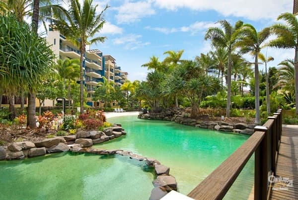 433/21 Wirraway Street, Alexandra Headland, QLD, 4572, Alexandra Headland - Thumbnail 5