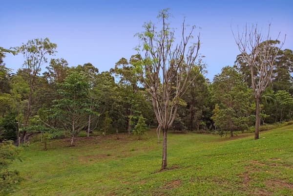 1/8 King Street, Buderim, QLD, 4556, Buderim - Thumbnail 5