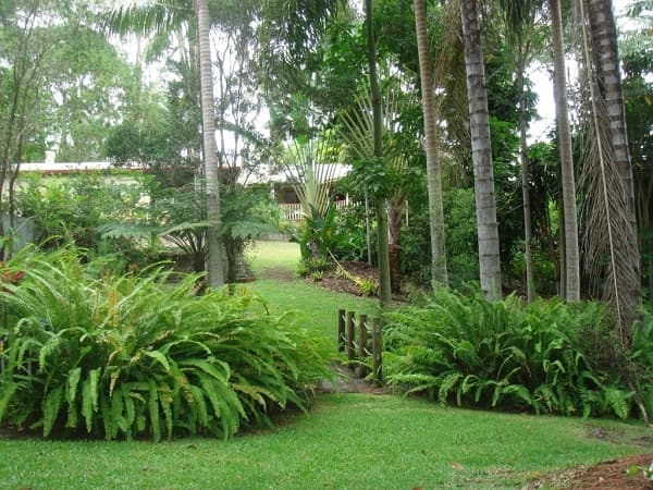 1/8 King Street, Buderim, QLD, 4556, Buderim - Thumbnail 7