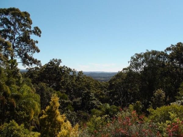 1/8 King Street, Buderim, QLD, 4556, Buderim - Thumbnail 8