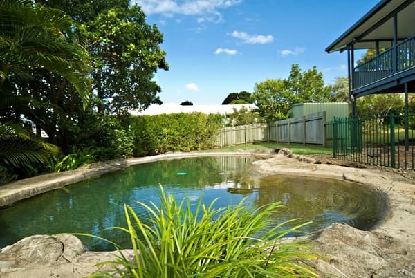 1/8 King Street, Buderim, QLD, 4556, Buderim - Thumbnail 4