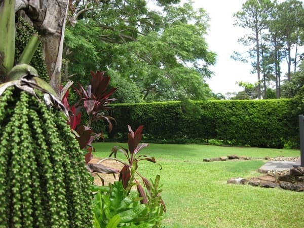 1/8 King Street, Buderim, QLD, 4556, Buderim - Thumbnail 5