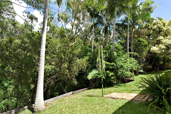 Address Withheld, Buderim, QLD, 4556, Buderim - Thumbnail 8