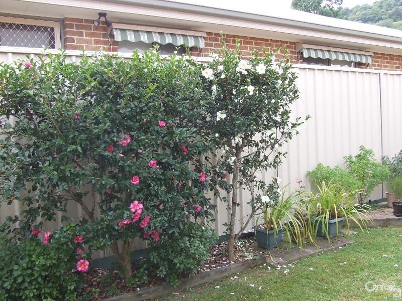 2/62-70 Argyle Street, Picton, NSW, 2571, Picton - Thumbnail 5
