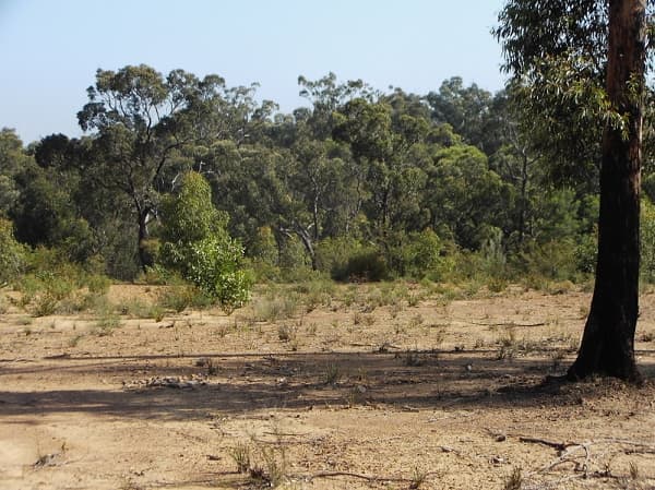 7/72-80 Argyle Street, Picton, NSW, 2571, Lakesland - Thumbnail 4