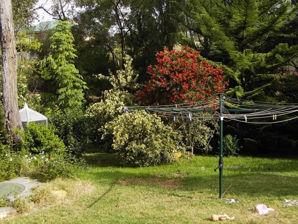 7/72-80 Argyle Street, Picton, NSW, 2571, Buxton - Thumbnail 6