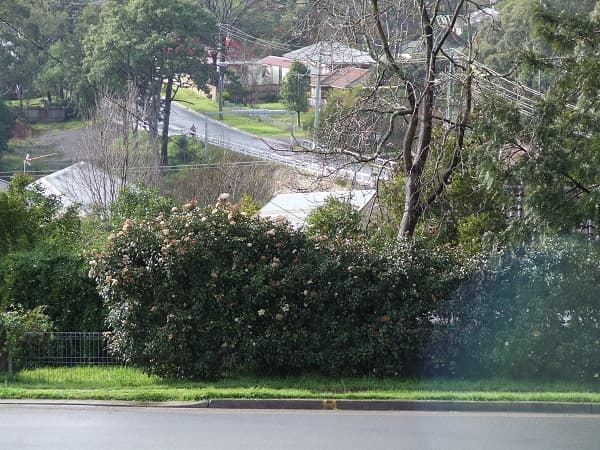 7/72-80 Argyle Street, Picton, NSW, 2571, Picton - Thumbnail 3