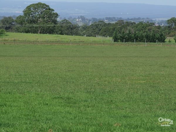 7/72-80 Argyle Street, Picton, NSW, 2571, Lakesland - Thumbnail 5