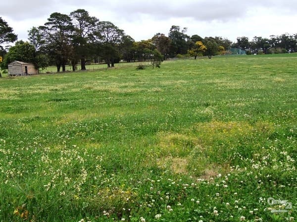 7/72-80 Argyle Street, Picton, NSW, 2571, Lakesland - Thumbnail 2