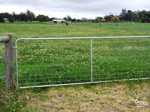 7/72-80 Argyle Street, Picton, NSW, 2571, Lakesland - Thumbnail 4