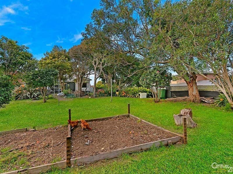 117 Elsiemer Street, Toowoon Bay, NSW, 2261, Toowoon Bay - Thumbnail 2