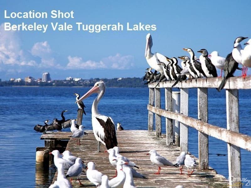 3 Kurraba Parade, Berkeley Vale, NSW, 2261, Berkeley Vale - Thumbnail 6