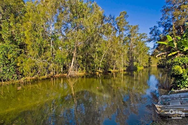 10 McLean Street, Killarney Vale, NSW, 2261, Killarney Vale - Thumbnail 4