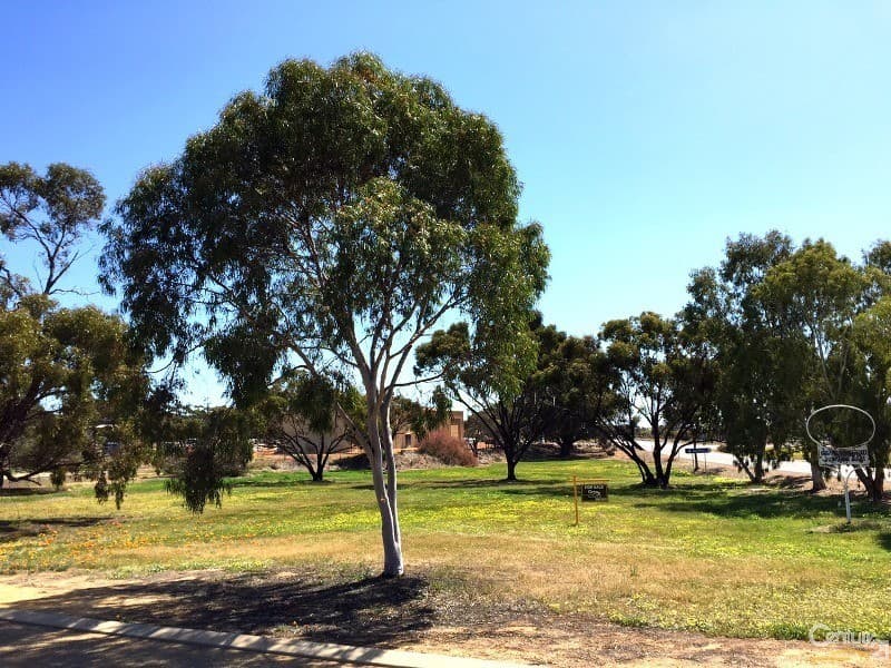 7/10 Warton Rd, Huntingdale, WA, 6110, Pingelly - Thumbnail 2