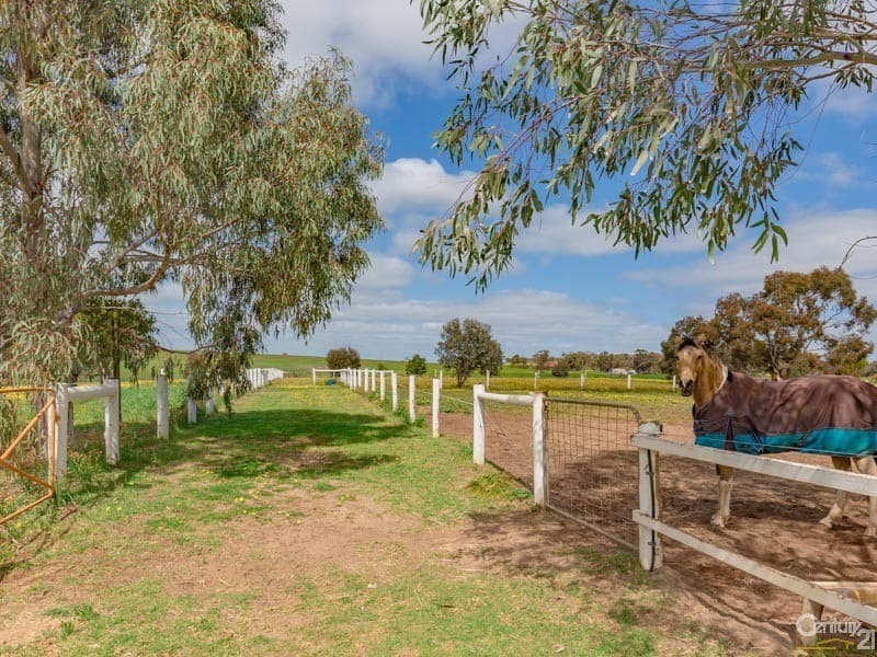 7/10 Warton Rd, Huntingdale, WA, 6110, Beverley - Thumbnail 4