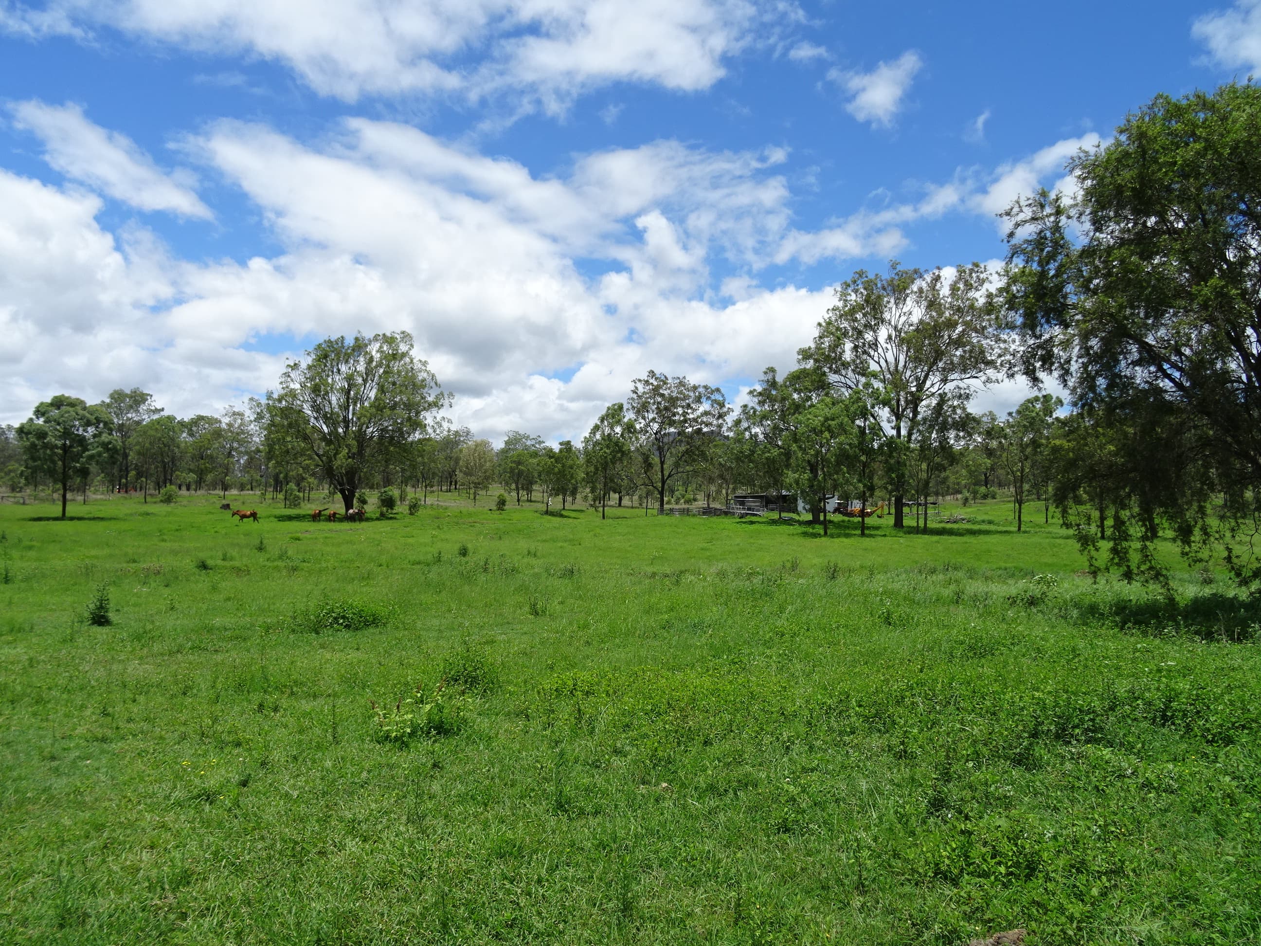 97 Broad Gully Rd, Croftby, Croftby - Image 1