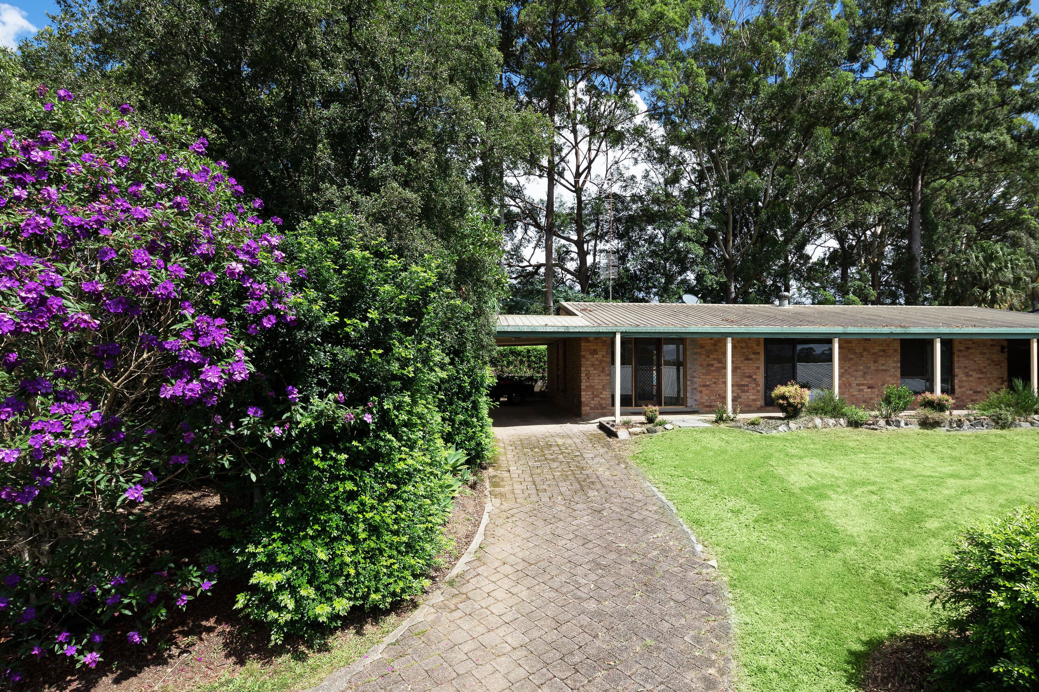 1 Taronga St, Palmwoods, Palmwoods - Image 1