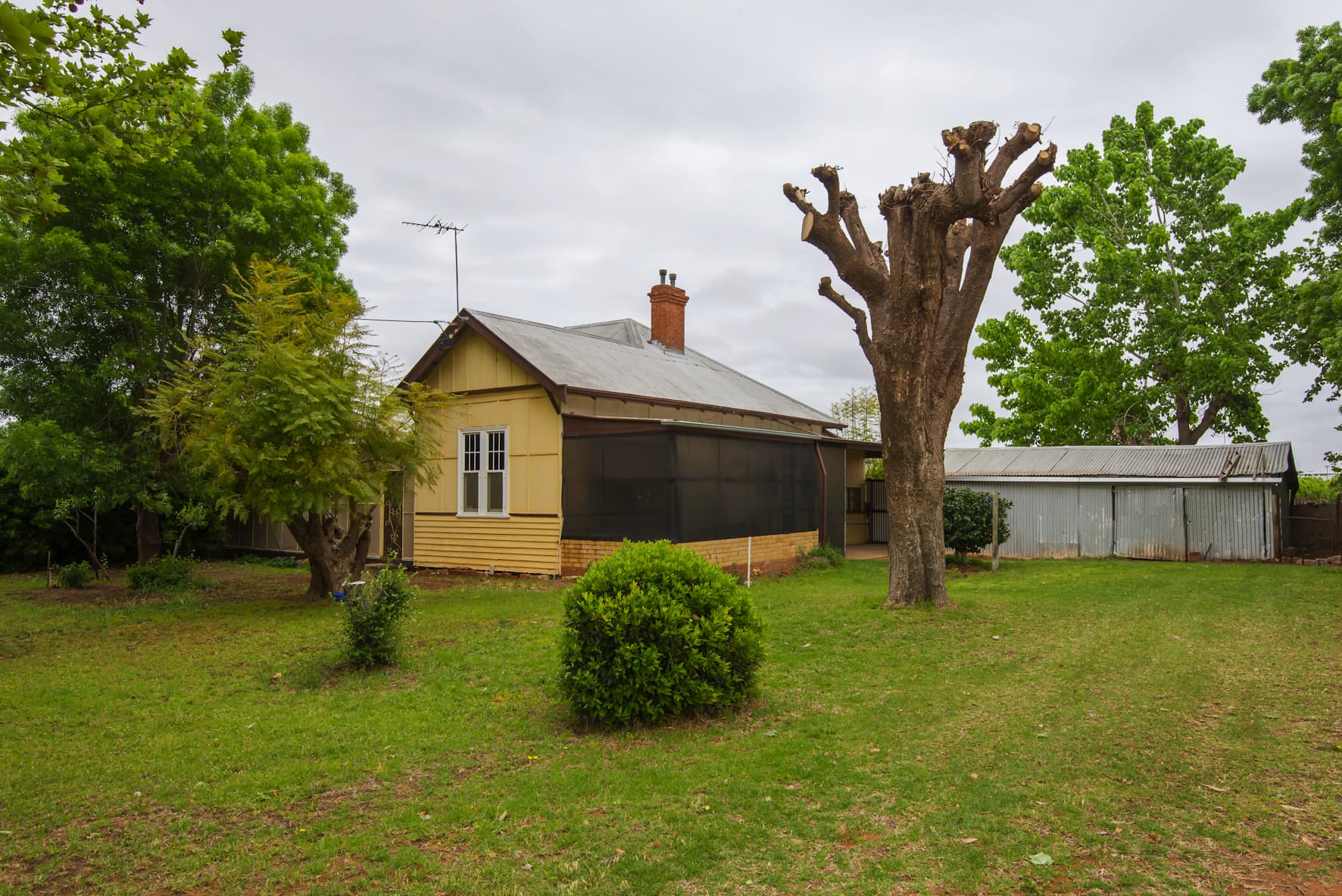 51 River Ave, Merbein - Image 1