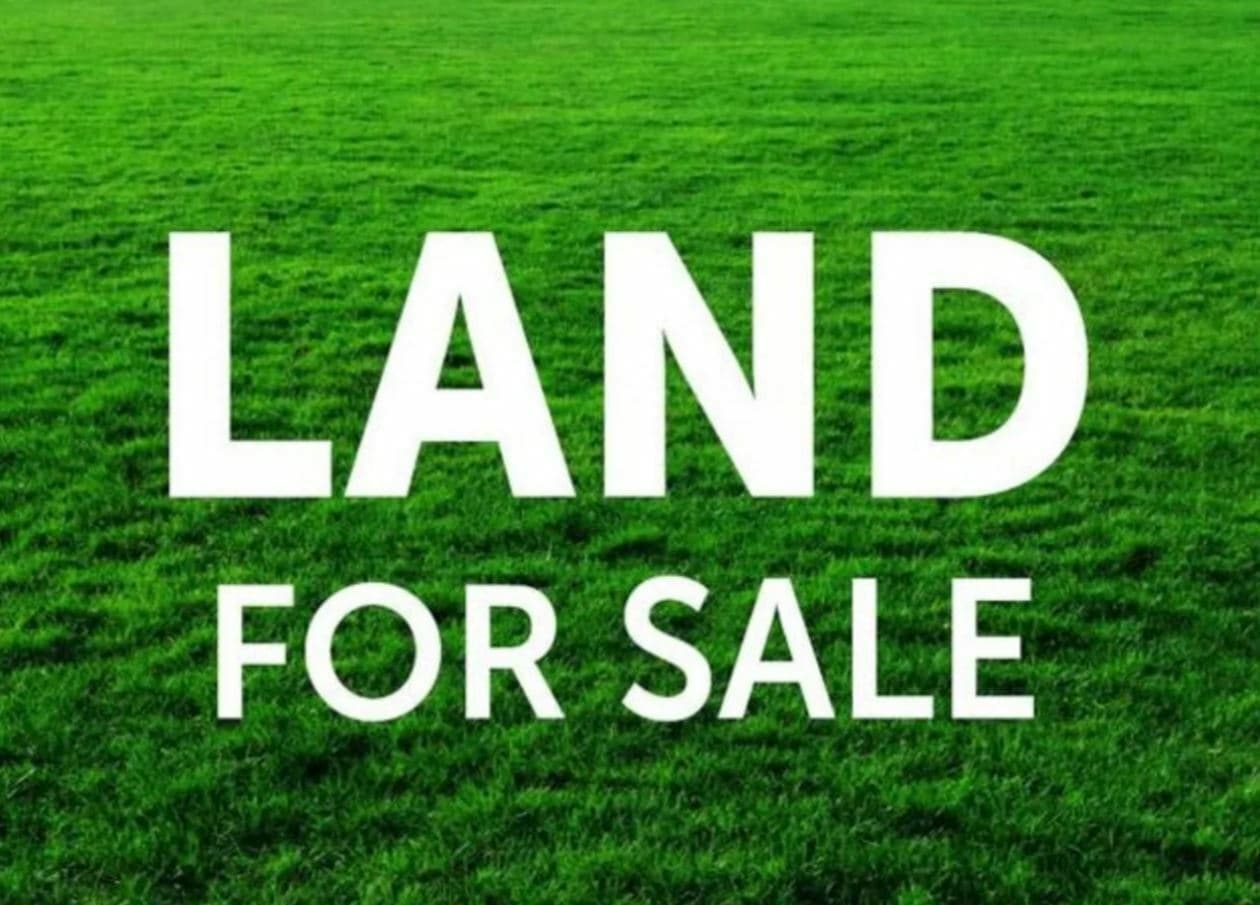Lot 12 Highbury Street, Tallawong - Image 1