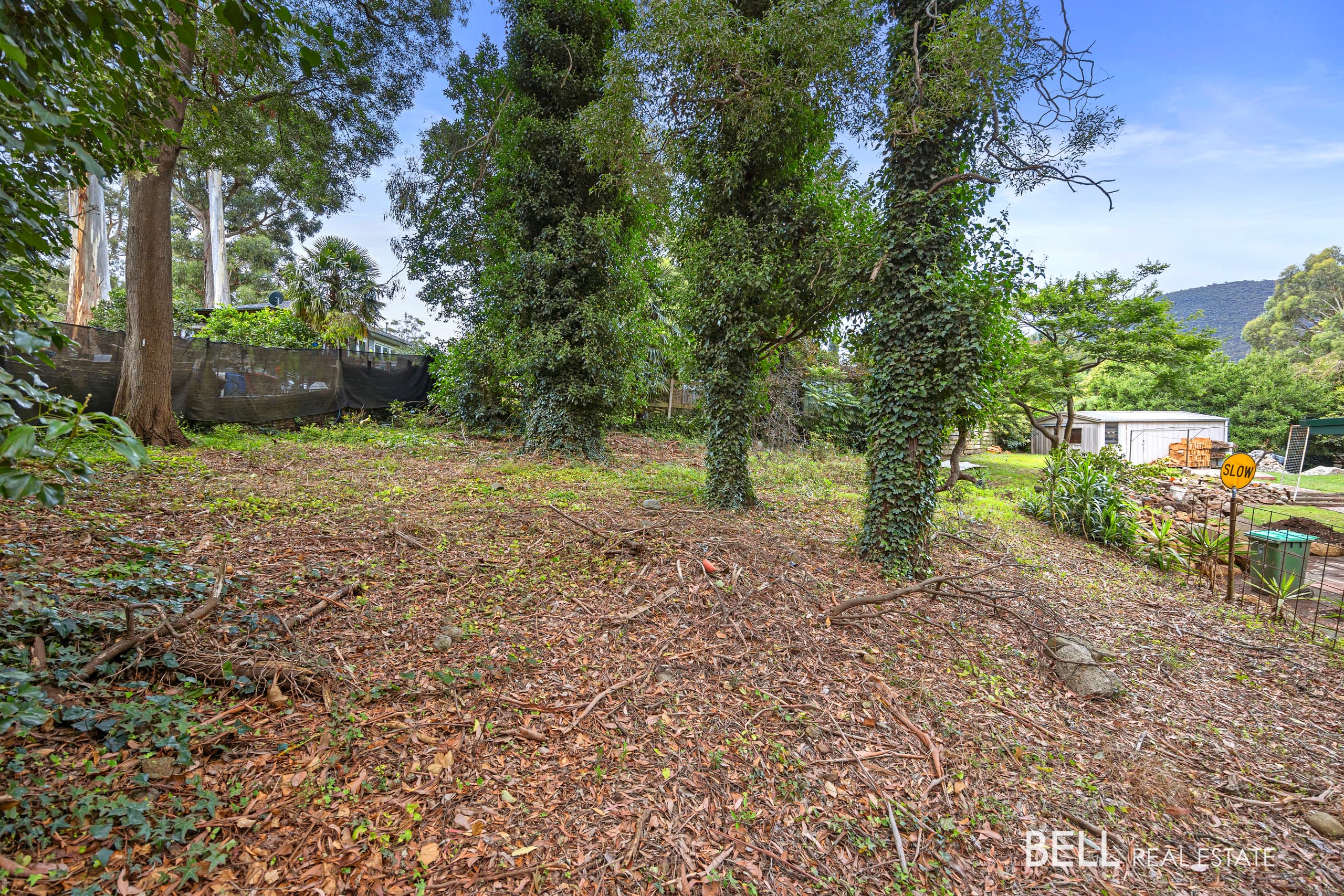 53 Wonga Road, MILLGROVE, Millgrove - Image 1