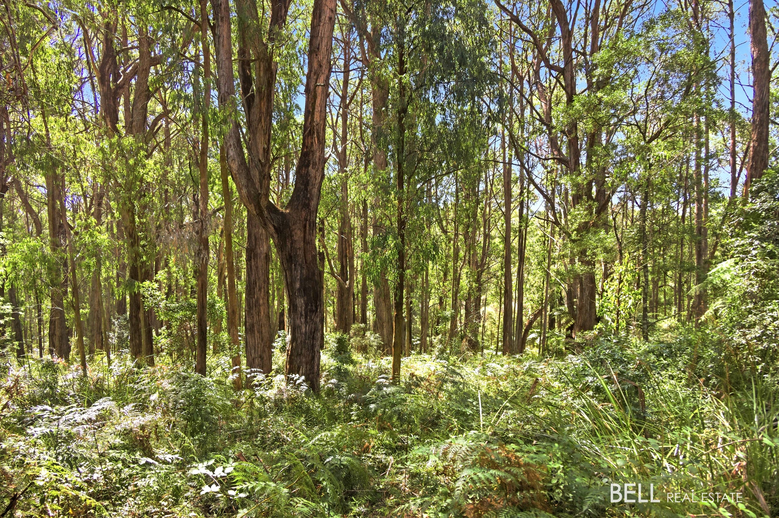 1195 Little Yarra Road, THREE BRIDGES, Three Bridges - Image 1