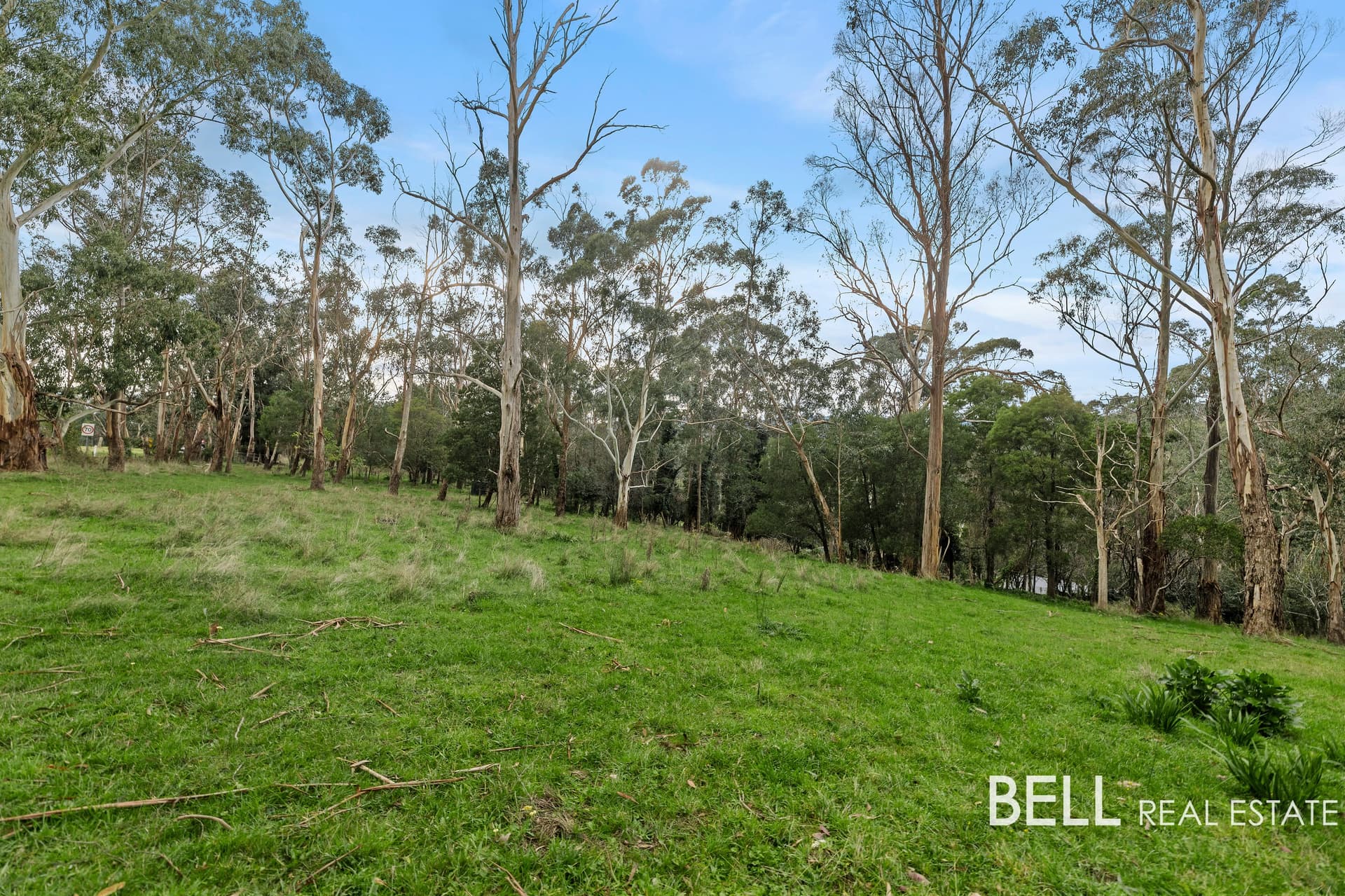 Lot 2/715 Gembrook-Launching Place Road, HODDLES CREEK, Hoddles Creek - Image 1