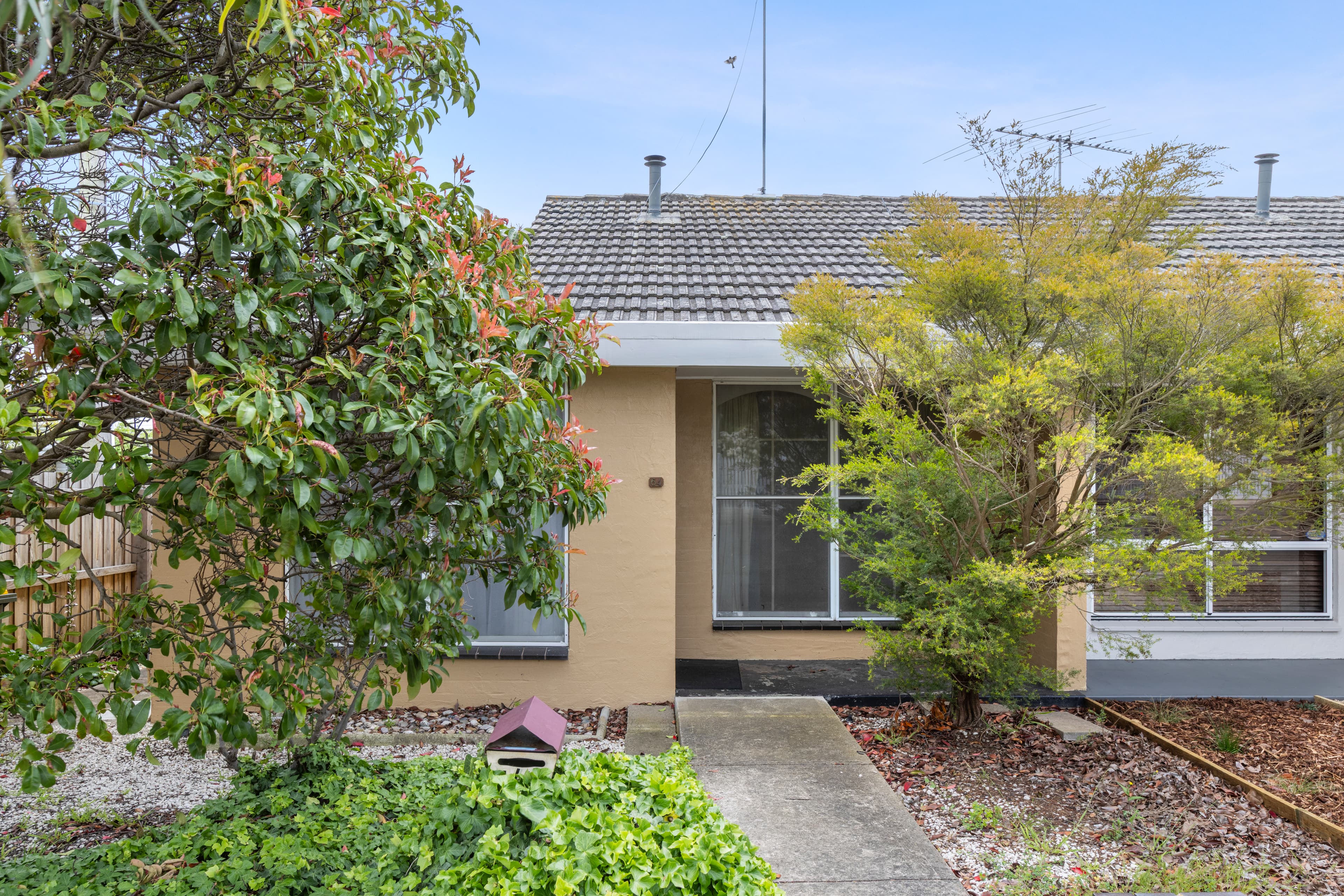 1/64 Gertrude Street, Geelong West, Geelong West - Image 1