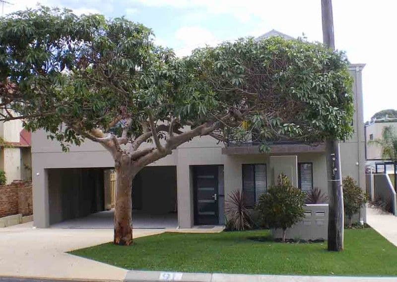 91A Burniston Street, SCARBOROUGH WA 6019, Scarborough - Image 1