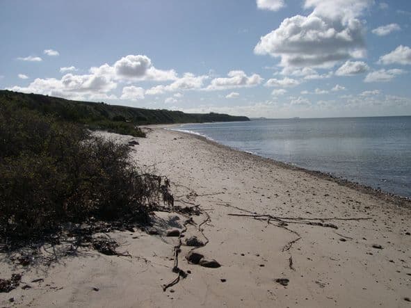 66 The Esplanade, PINE POINT SA 5571, Pine Point - Image 1