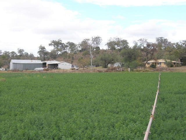 0 Motley Road, PITTSWORTH QLD 4356, Pittsworth - Image 1