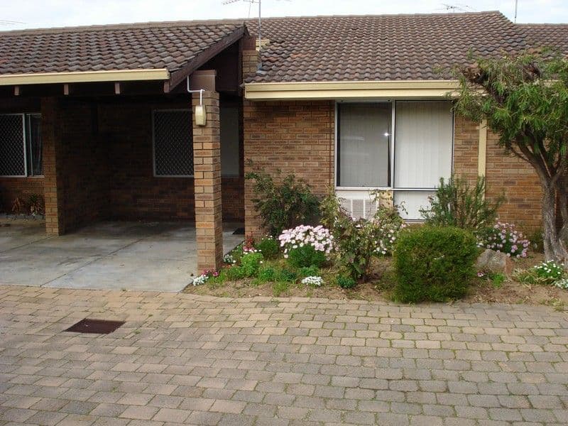 8 Kathleen Street, YOKINE WA 6060, Yokine - Image 1