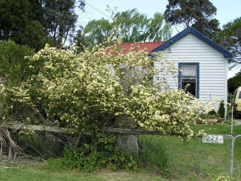 550 Lone Pine Road, GARFIELD VIC 3814, Garfield - Image 1