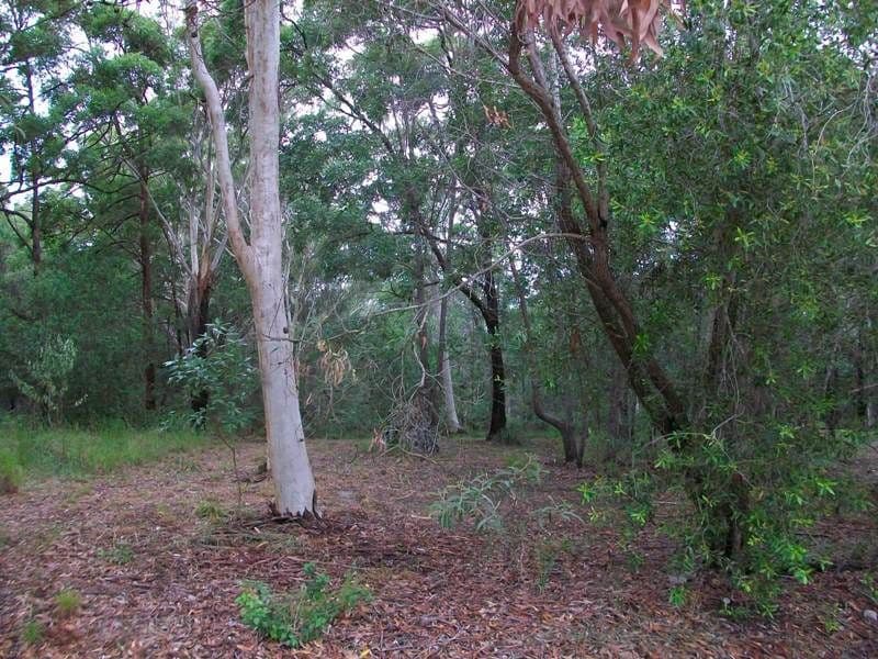 38 Villa Wood Road, RUSSELL ISLAND QLD 4184, Russell Island - Image 1