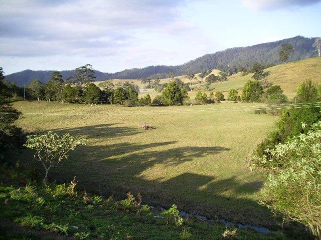 698 Missabotti Road, MISSABOTTI NSW 2449, Missabotti - Image 1