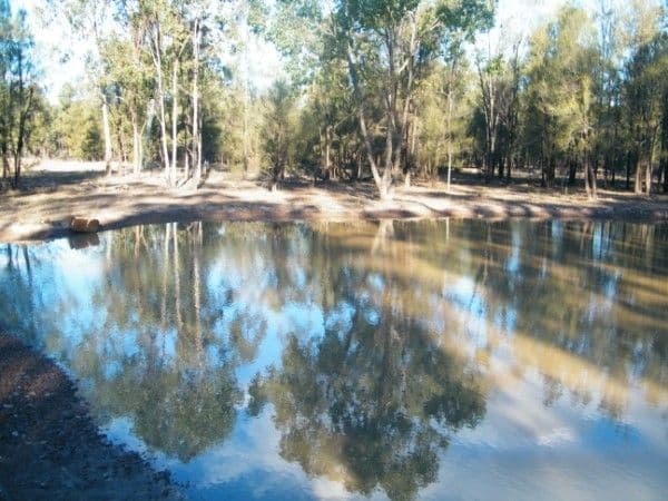48 North Kogan Road, KOGAN QLD 4406, Kogan - Image 1