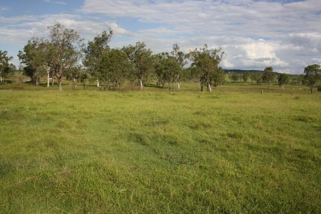 GAYNDAH QLD 4625, Gayndah - Image 1