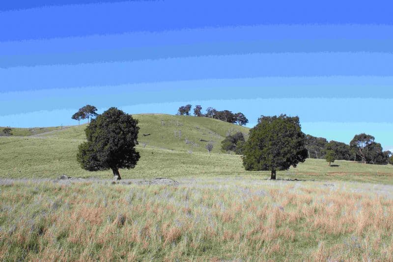 TAYLORS FLAT NSW 2586, Taylors Flat - Image 1
