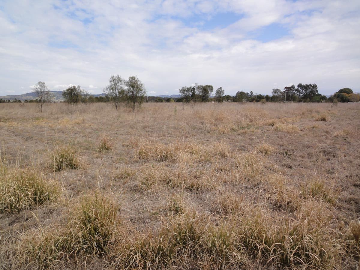 Cnr Plant and School Streets, HELIDON QLD 4344, Helidon - Image 1