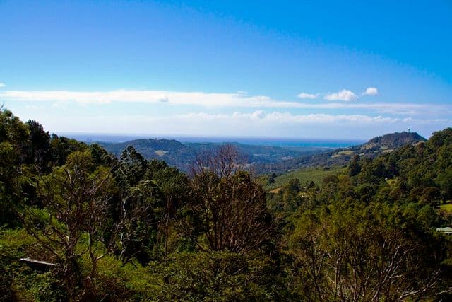 23 Slashpine Road, GLENGARRIE NSW 2486, Glengarrie - Image 1