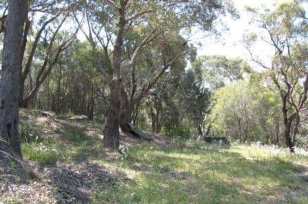 16 Foreman Drive, BARDEN RIDGE NSW 2234, Barden Ridge - Image 1