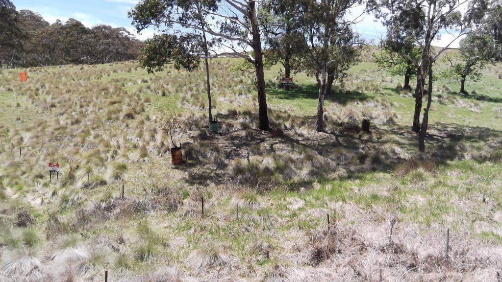 Lot 72, 101 and 102 Happy Valley Road, Hanging Rock NSW 2340, Hanging Rock - Image 1